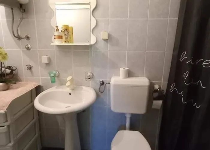 Nona Vrnjačka Banja